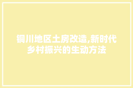 铜川地区土房改造,新时代乡村振兴的生动方法
