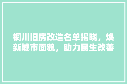 铜川旧房改造名单揭晓，焕新城市面貌，助力民生改善