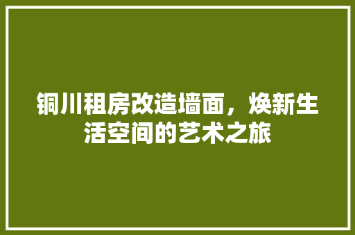 铜川租房改造墙面，焕新生活空间的艺术之旅 汽车维修