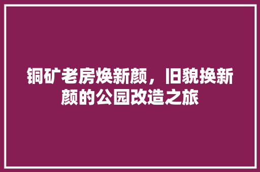 铜矿老房焕新颜，旧貌换新颜的公园改造之旅
