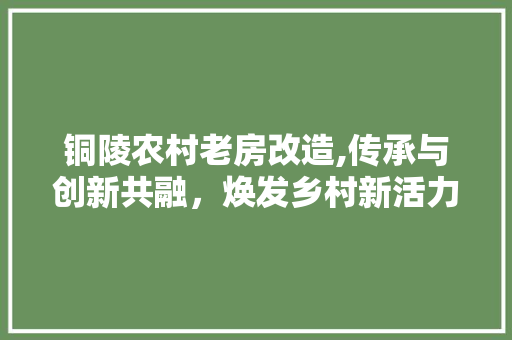铜陵农村老房改造,传承与创新共融，焕发乡村新活力 厨房维修