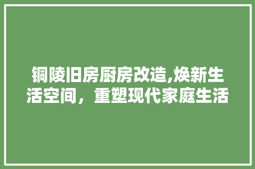 铜陵旧房厨房改造,焕新生活空间，重塑现代家庭生活