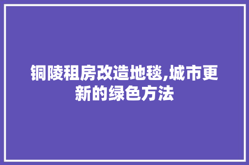 铜陵租房改造地毯,城市更新的绿色方法
