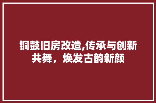 铜鼓旧房改造,传承与创新共舞，焕发古韵新颜