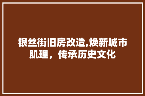 银丝街旧房改造,焕新城市肌理，传承历史文化