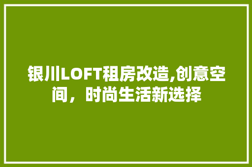 银川LOFT租房改造,创意空间，时尚生活新选择