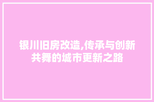 银川旧房改造,传承与创新共舞的城市更新之路