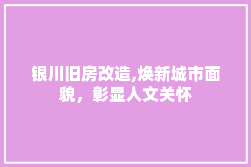 银川旧房改造,焕新城市面貌，彰显人文关怀