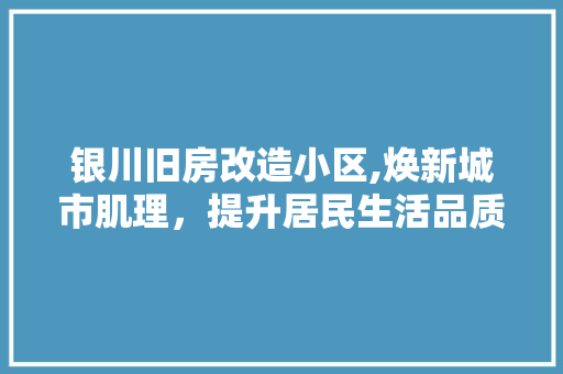 银川旧房改造小区,焕新城市肌理，提升居民生活品质