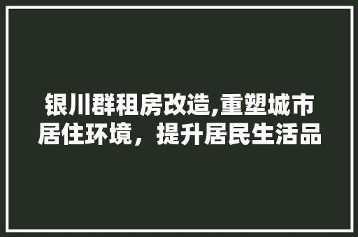 银川群租房改造,重塑城市居住环境，提升居民生活品质
