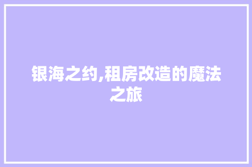 银海之约,租房改造的魔法之旅