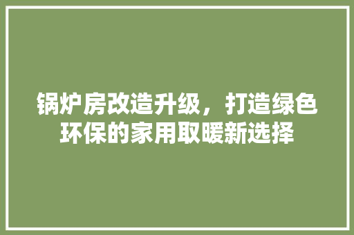 锅炉房改造升级，打造绿色环保的家用取暖新选择