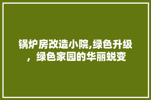 锅炉房改造小院,绿色升级，绿色家园的华丽蜕变