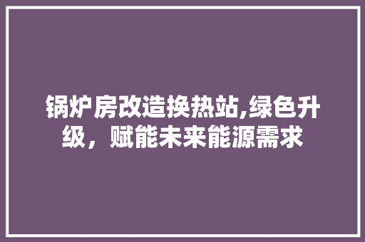 锅炉房改造换热站,绿色升级，赋能未来能源需求