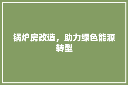 锅炉房改造，助力绿色能源转型