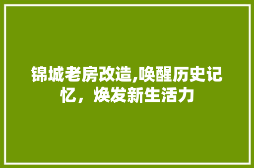 锦城老房改造,唤醒历史记忆，焕发新生活力