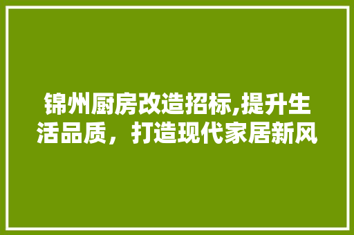 锦州厨房改造招标,提升生活品质，打造现代家居新风尚