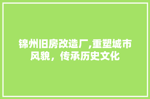锦州旧房改造厂,重塑城市风貌，传承历史文化