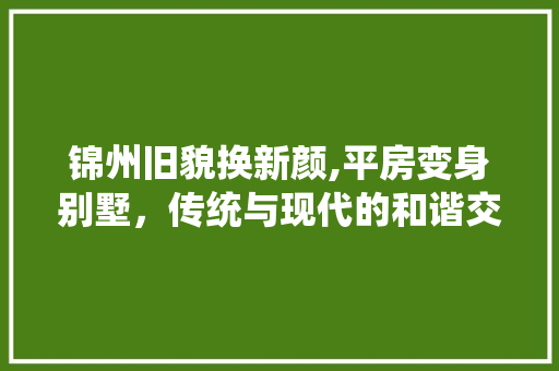 锦州旧貌换新颜,平房变身别墅，传统与现代的和谐交响
