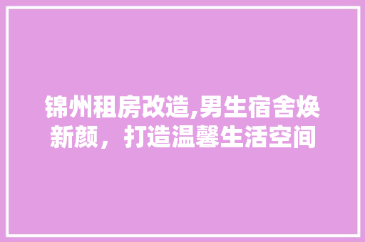 锦州租房改造,男生宿舍焕新颜，打造温馨生活空间