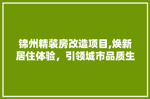 锦州精装房改造项目,焕新居住体验，引领城市品质生活新风尚