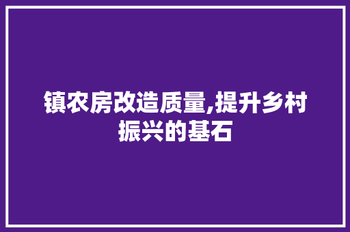 镇农房改造质量,提升乡村振兴的基石