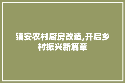 镇安农村厨房改造,开启乡村振兴新篇章