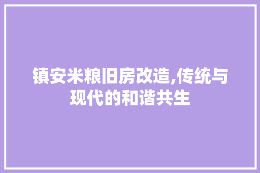 镇安米粮旧房改造,传统与现代的和谐共生