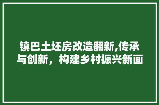 镇巴土坯房改造翻新,传承与创新，构建乡村振兴新画卷 综合便民