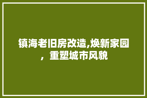 镇海老旧房改造,焕新家园，重塑城市风貌