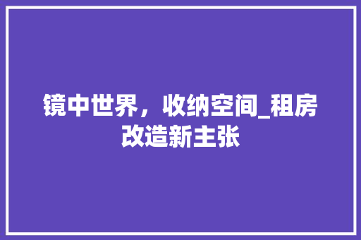 镜中世界，收纳空间_租房改造新主张