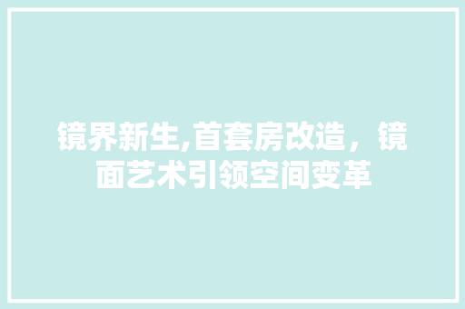 镜界新生,首套房改造，镜面艺术引领空间变革