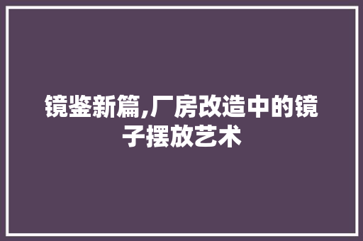 镜鉴新篇,厂房改造中的镜子摆放艺术