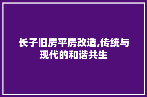 长子旧房平房改造,传统与现代的和谐共生