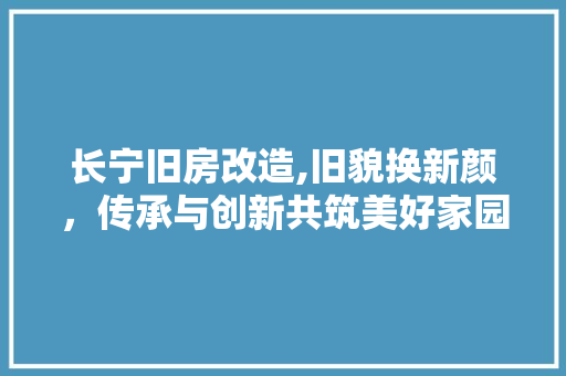 长宁旧房改造,旧貌换新颜，传承与创新共筑美好家园