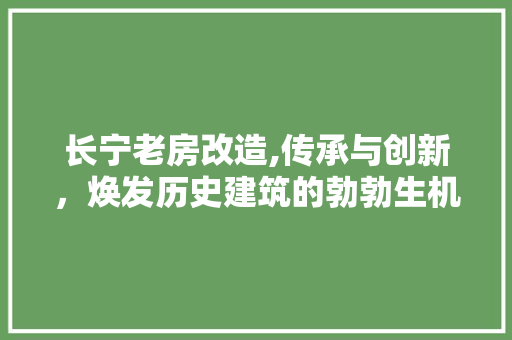 长宁老房改造,传承与创新，焕发历史建筑的勃勃生机