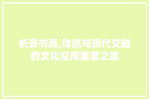 长安书房,传统与现代交融的文化空间重塑之旅