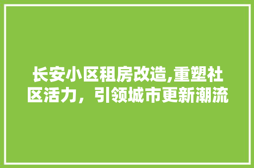 长安小区租房改造,重塑社区活力，引领城市更新潮流