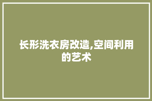 长形洗衣房改造,空间利用的艺术