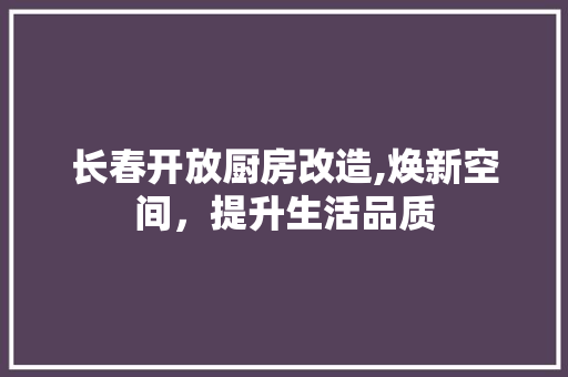 长春开放厨房改造,焕新空间，提升生活品质