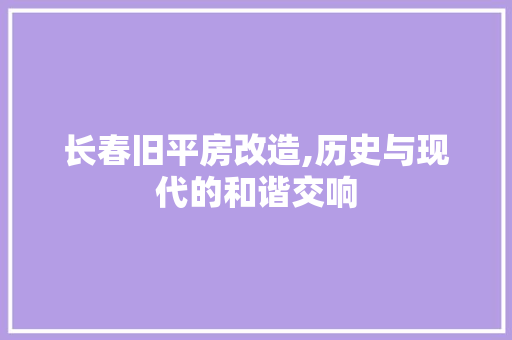 长春旧平房改造,历史与现代的和谐交响