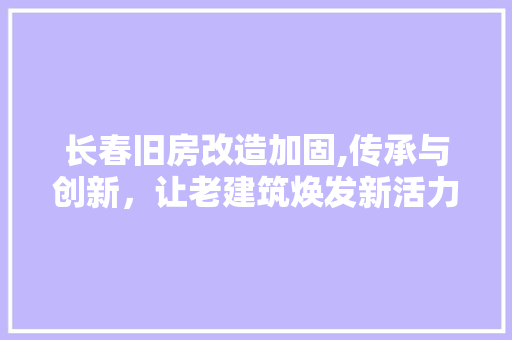 长春旧房改造加固,传承与创新，让老建筑焕发新活力 厨房维修