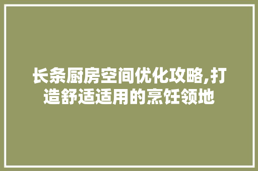 长条厨房空间优化攻略,打造舒适适用的烹饪领地