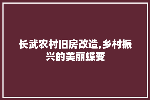 长武农村旧房改造,乡村振兴的美丽蝶变