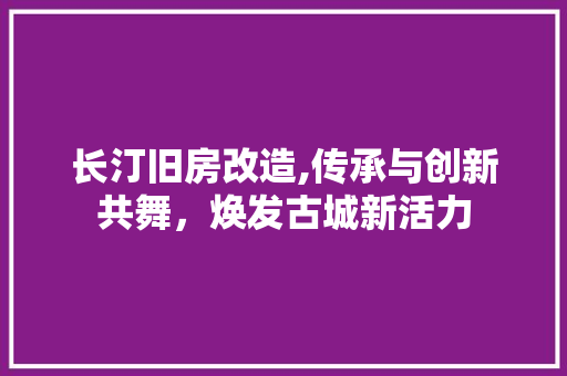 长汀旧房改造,传承与创新共舞，焕发古城新活力