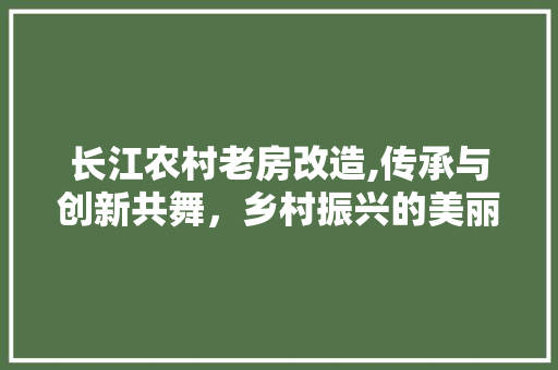 长江农村老房改造,传承与创新共舞，乡村振兴的美丽画卷
