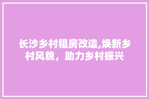 长沙乡村租房改造,焕新乡村风貌，助力乡村振兴