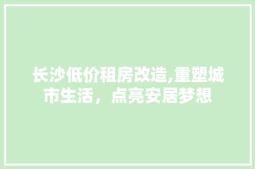 长沙低价租房改造,重塑城市生活，点亮安居梦想