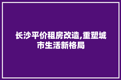 长沙平价租房改造,重塑城市生活新格局