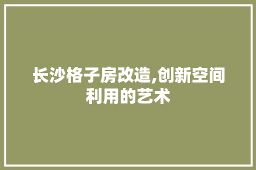 长沙格子房改造,创新空间利用的艺术